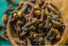 Cloves Benefits: लौंग एक लेकिन इसके फायदे अनेक, जानिए कब देती है ये फायदा