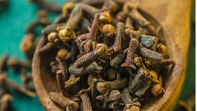 Cloves Benefits: लौंग एक लेकिन इसके फायदे अनेक, जानिए कब देती है ये फायदा