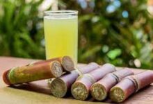 Sugarcane Juice: एनर्जी का पावरहाउस है गन्ने का जूस, इन लोगों के लिए हो सकता है खतरनाक