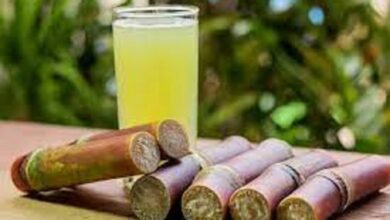 Sugarcane Juice: एनर्जी का पावरहाउस है गन्ने का जूस, इन लोगों के लिए हो सकता है खतरनाक