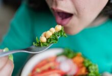 Alternative Food Option: गर्मी में खाना खाने का नहीं है मन तो क्या खाएं? ये हैं हेल्दी विकल्प