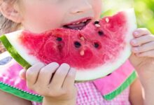 Summer Health: कहीं आपको भी बीमार न कर दे बढ़ती गर्मी, क्या खाएं और क्या नहीं, जानिए