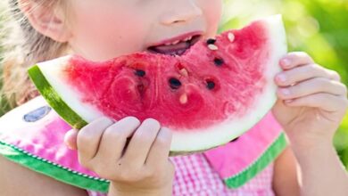 Summer Health: कहीं आपको भी बीमार न कर दे बढ़ती गर्मी, क्या खाएं और क्या नहीं, जानिए