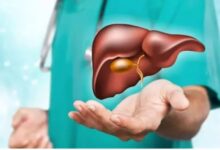 World Liver Day 2026: ये चार चीजें हैं लिवर की सबसे बड़ी 'दुश्मन', जान लें