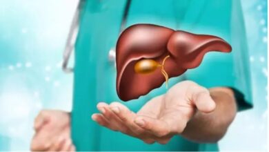 World Liver Day 2026: ये चार चीजें हैं लिवर की सबसे बड़ी 'दुश्मन', जान लें