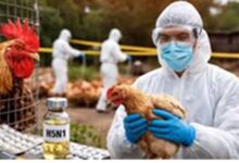 H5N1 Outbreak: अब इस शहर में बर्ड फ्लू का प्रकोप, जानिए ये कितना खतरनाक और किन्हें जोखिम ज्यादा