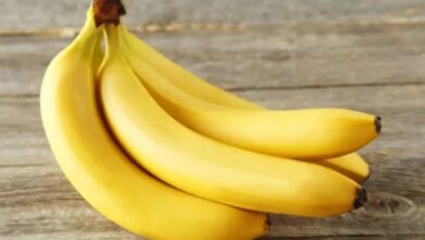 Banana: रोज खाइए एक केला, सेहत को मिल सकते हैं चौतरफा लाभ