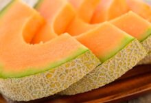 Muskmelon: रोज खाएं मीठा-मीठा खरबूजा, शरीर में नहीं होगी पानी की कमी