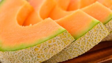 Muskmelon: रोज खाएं मीठा-मीठा खरबूजा, शरीर में नहीं होगी पानी की कमी