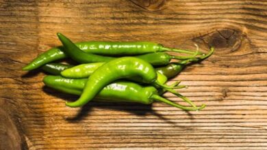Green Chilli: इन लोगों को जरूर खानी चाहिए हरी मिर्च, मिलेंगे ये दुर्लभ विटामिन