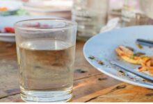 Water Before Meals: खाना खाने से पहले पानी पीने के लिए क्यों कहते हैं डॉक्टर्स?