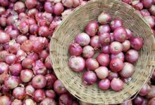 Health Tips: क्या आप भी रोज खाते हैं कच्चा प्याज? इन लोगों को तुरंत कर देना चाहिए बंद