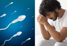 Sperm Quality: 30 की उम्र में क्यों खराब हो रहा स्पर्म, जानें पुरुषों में क्यों बढ़ रही है ये समस्या