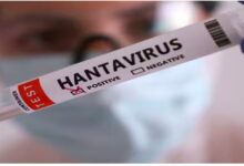 कहां से शुरू हुआ Hanta Virus? कितना है खतरनाक, क्या है इसके नाम के पीछे की कहानी