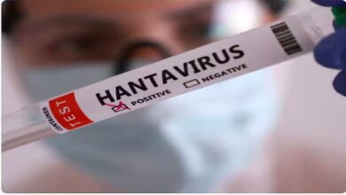 कहां से शुरू हुआ Hanta Virus? कितना है खतरनाक, क्या है इसके नाम के पीछे की कहानी