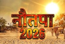 Diet During Nautapa: नौतपा में भूलकर भी न खाएं ये चीजें, हो सकता है उल्टा असर