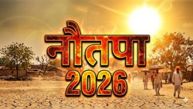 Diet During Nautapa: नौतपा में भूलकर भी न खाएं ये चीजें, हो सकता है उल्टा असर