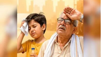 Nautapa: बच्चों और बुजुर्गों को सबसे ज्यादा खतरा, ऐसे रखें उनका ख्याल