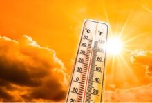 Nautapa Alert: नौतपा बढ़ाएगा सेहत के लिए मुश्किलें, जानिए क्या करें-क्या नहीं?