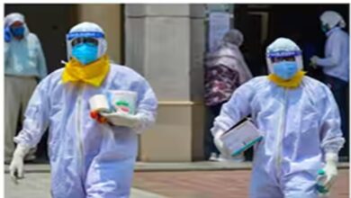 Viral Infection: हंटावायरस और नोरोवायरस से दुनियाभर में खौफ, समझिए दोनों में अंतर