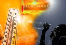 Heatwave Precautions: भीषण गर्मी में थकान और कमजोरी महसूस हो रही है? तुरंत करें इन चीजों का सेवन