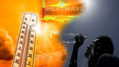 Heatwave Precautions: भीषण गर्मी में थकान और कमजोरी महसूस हो रही है? तुरंत करें इन चीजों का सेवन