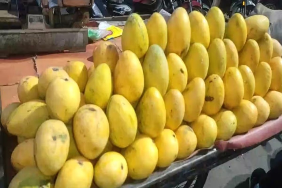 Mangoes: सावधान! मार्केट में बिक रहा सड़े और कीड़ों वाले आम का जूस!