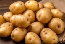 Acidity: क्या सच में आलू खाने से एसिडिटी की दिक्कत होती है? जानें सच्चाई