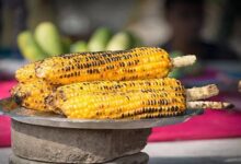 Corn For Health: बारिश में भुट्टा फायदेमंद या नुकसान? जानें किसे कितना खाना चाहिए