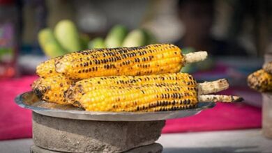 Corn For Health: बारिश में भुट्टा फायदेमंद या नुकसान? जानें किसे कितना खाना चाहिए