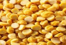 Monsoon Diet Tips: बारिश में इन दालों से बना लें दूरी, नहीं तो बढ़ेगी पेट की परेशानी