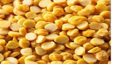 Monsoon Diet Tips: बारिश में इन दालों से बना लें दूरी, नहीं तो बढ़ेगी पेट की परेशानी