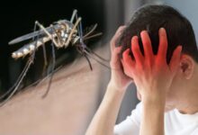 Japanese Encephalitis: खतरनाक है यह बीमारी, मच्छर के काटते ही सूज जाता है दिमाग!