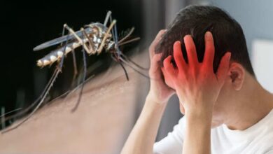 Japanese Encephalitis: खतरनाक है यह बीमारी, मच्छर के काटते ही सूज जाता है दिमाग!