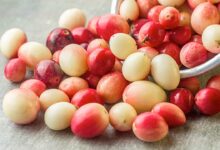 Health Tips: करौंदा खाने से मिलेंगे ये फायदे, आप भी जान लीजिए