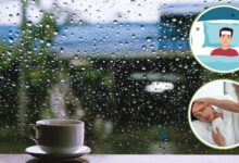 Monsoon Health Tips: मानसून में तीन दिन तक बुखार रहने पर कराएं ये जरूरी टेस्ट