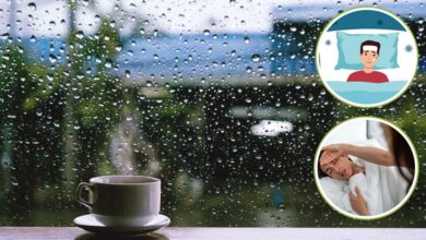 Monsoon Health Tips: मानसून में तीन दिन तक बुखार रहने पर कराएं ये जरूरी टेस्ट