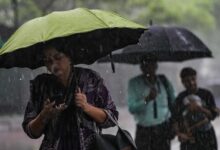Monsoon Care: बरसात में बीमारियों से करना है बचाव, ये जानकारी होगी मददगार