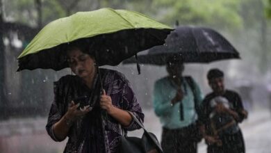 Monsoon Care: बरसात में बीमारियों से करना है बचाव, ये जानकारी होगी मददगार