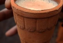 Health Tips: कुल्हड़ वाली चाय सेहत के लिए लाभदायक या हानिकारक? जानें जरूरी बातें