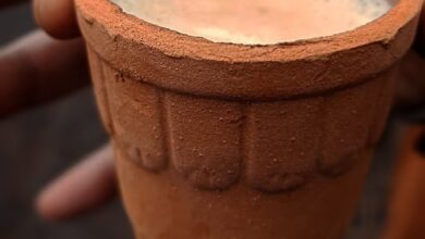 Health Tips: कुल्हड़ वाली चाय सेहत के लिए लाभदायक या हानिकारक? जानें जरूरी बातें