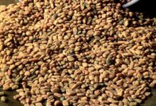 Health Tips: शरीर की कई दिक्कतों को दूर करेगा रसोई में रखा ये मसाला!