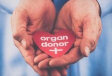 World Organ Donation Day 2026: शरीर के कौन-कौन से अंग किए जा सकते हैं दान?