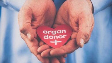 World Organ Donation Day 2026: शरीर के कौन-कौन से अंग किए जा सकते हैं दान?