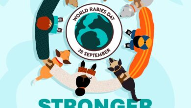 World Rabies Day 2026: मिथ को भूल जाएं, 15 मिनट साबुन से धुले और वैक्सीन लगवाएं