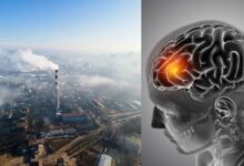 Air Pollution: दिल, दिमाग और नसों को भी नुकसान पहुंचाती है जहरीली हवा!