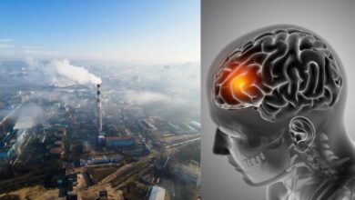Air Pollution: दिल, दिमाग और नसों को भी नुकसान पहुंचाती है जहरीली हवा!