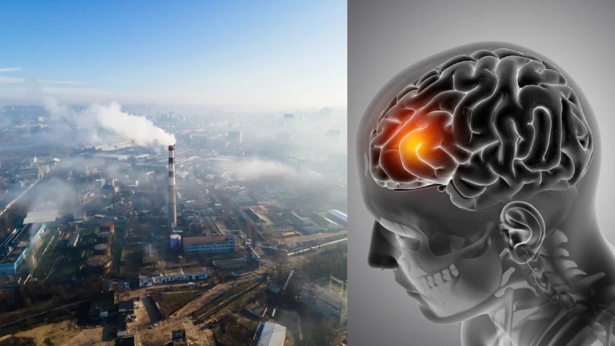 Air Pollution: दिल, दिमाग और नसों को भी नुकसान पहुंचाती है जहरीली हवा!