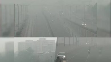 Air Pollution: दिल्ली-NCR में फिर गहराया प्रदूषण का संकट, अस्थमा के मरीज भूलकर भी न करें ये गलतियां